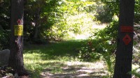 SAM_0645