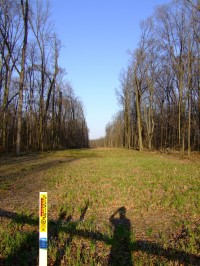 BlendonWoodsPipeline