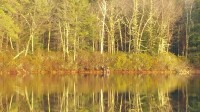 20151225_075755 (75)