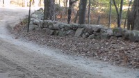 SAM_1345