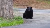 20160505_182223.50.sitting